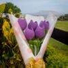 Ramo Ladiel (Pack 5 Tulipanes)